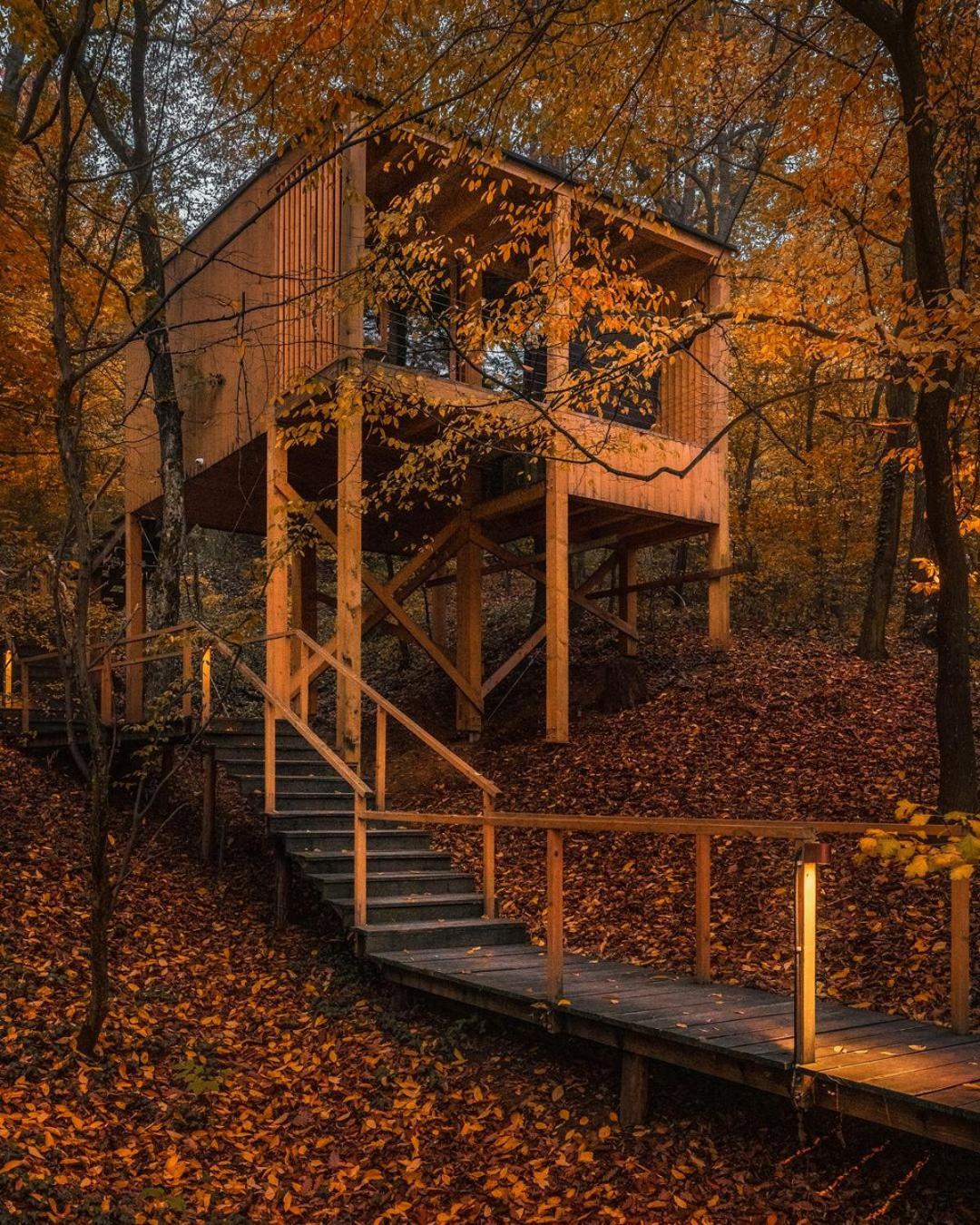 Treehouses Apartment *